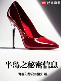 半岛之秘密信息
